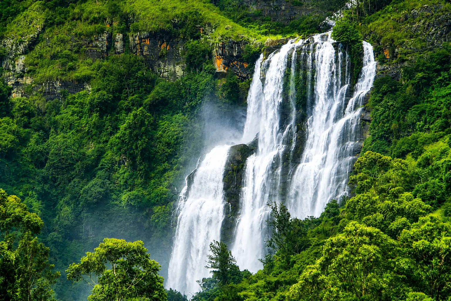 Hidden waterfall cascade along a forest trail